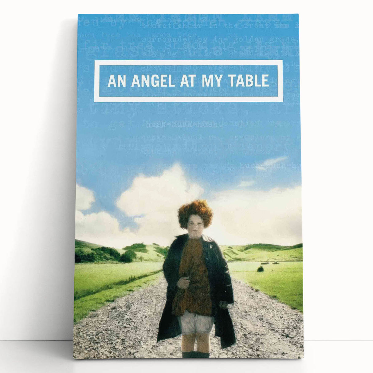 1990s Vintage Movie Poster – An Angel at My Table Retro Film Art