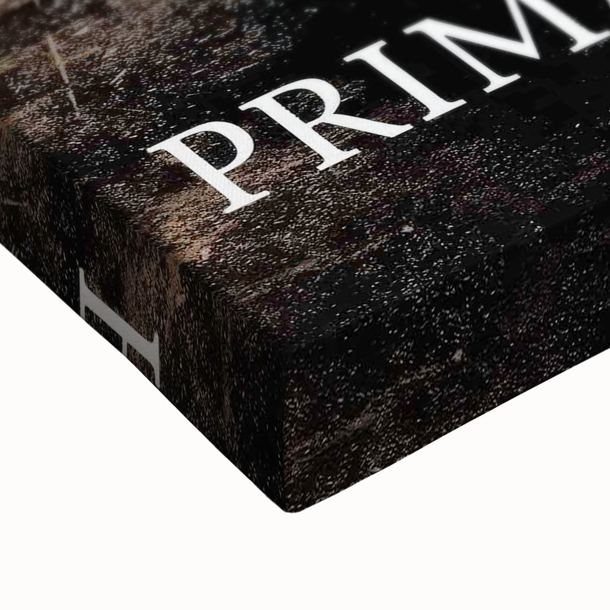 1990s Vintage Movie Poster – Classic 90s Film Art of Primal Fear