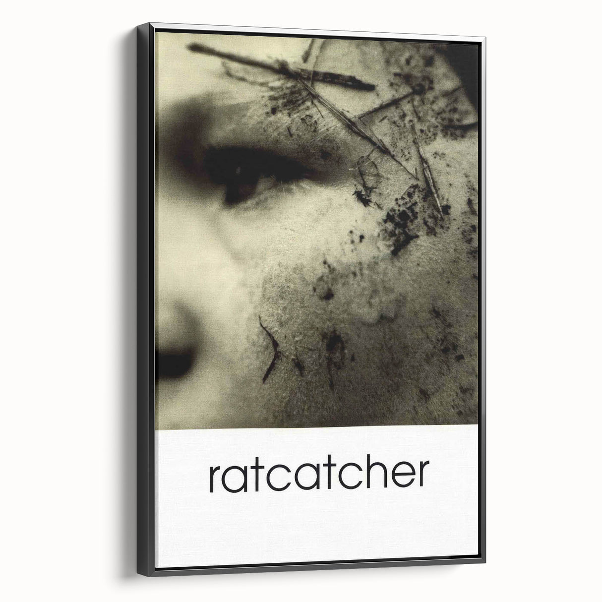 1990s Vintage Movie Poster – Classic 90s Film Art of Ratcatcher