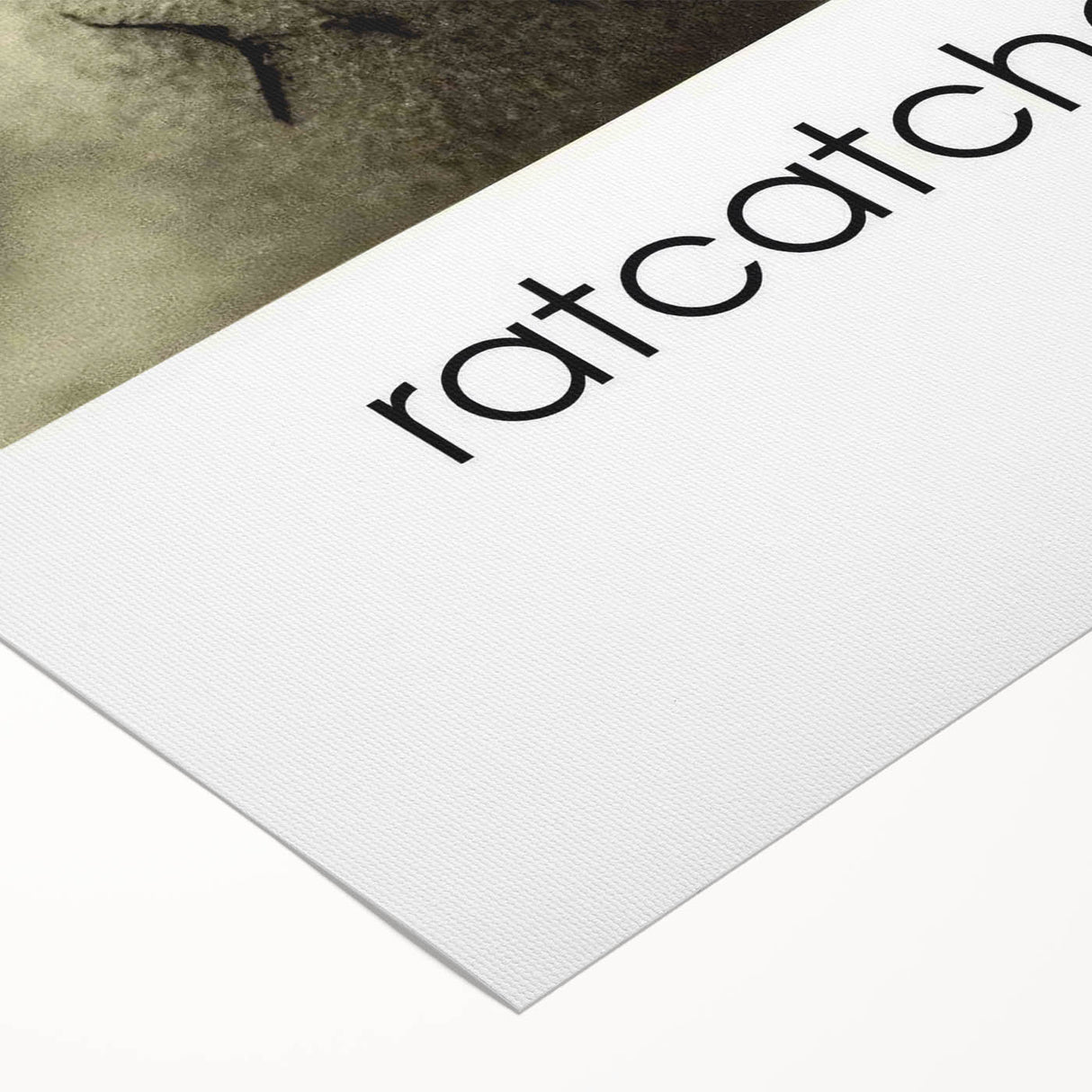 1990s Vintage Movie Poster – Classic 90s Film Art of Ratcatcher