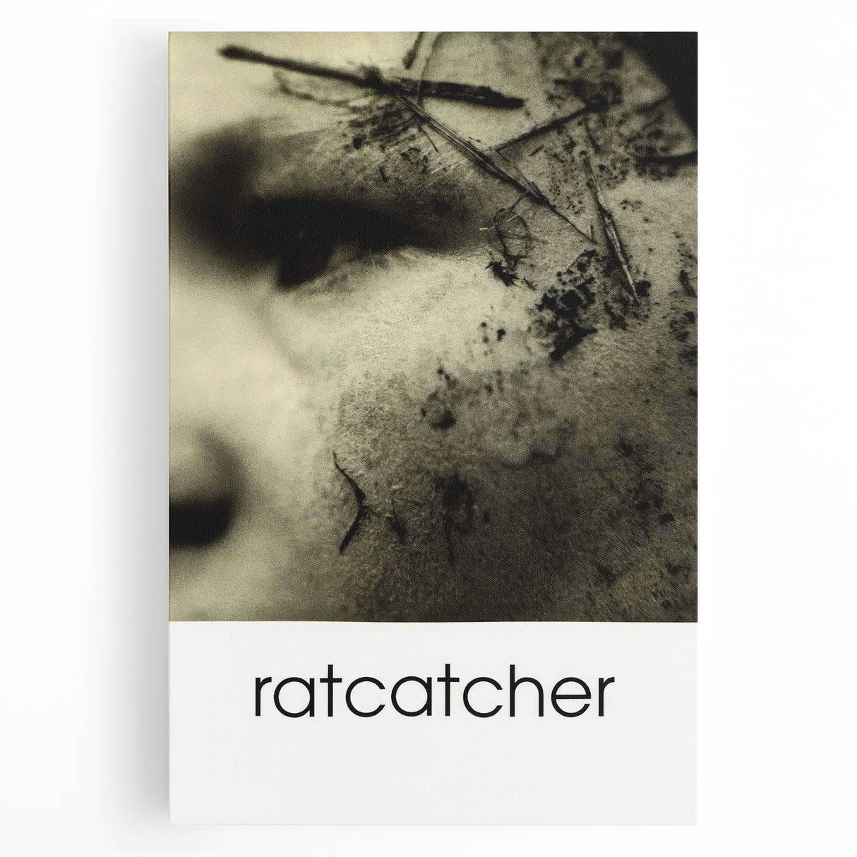 1990s Vintage Movie Poster – Classic 90s Film Art of Ratcatcher