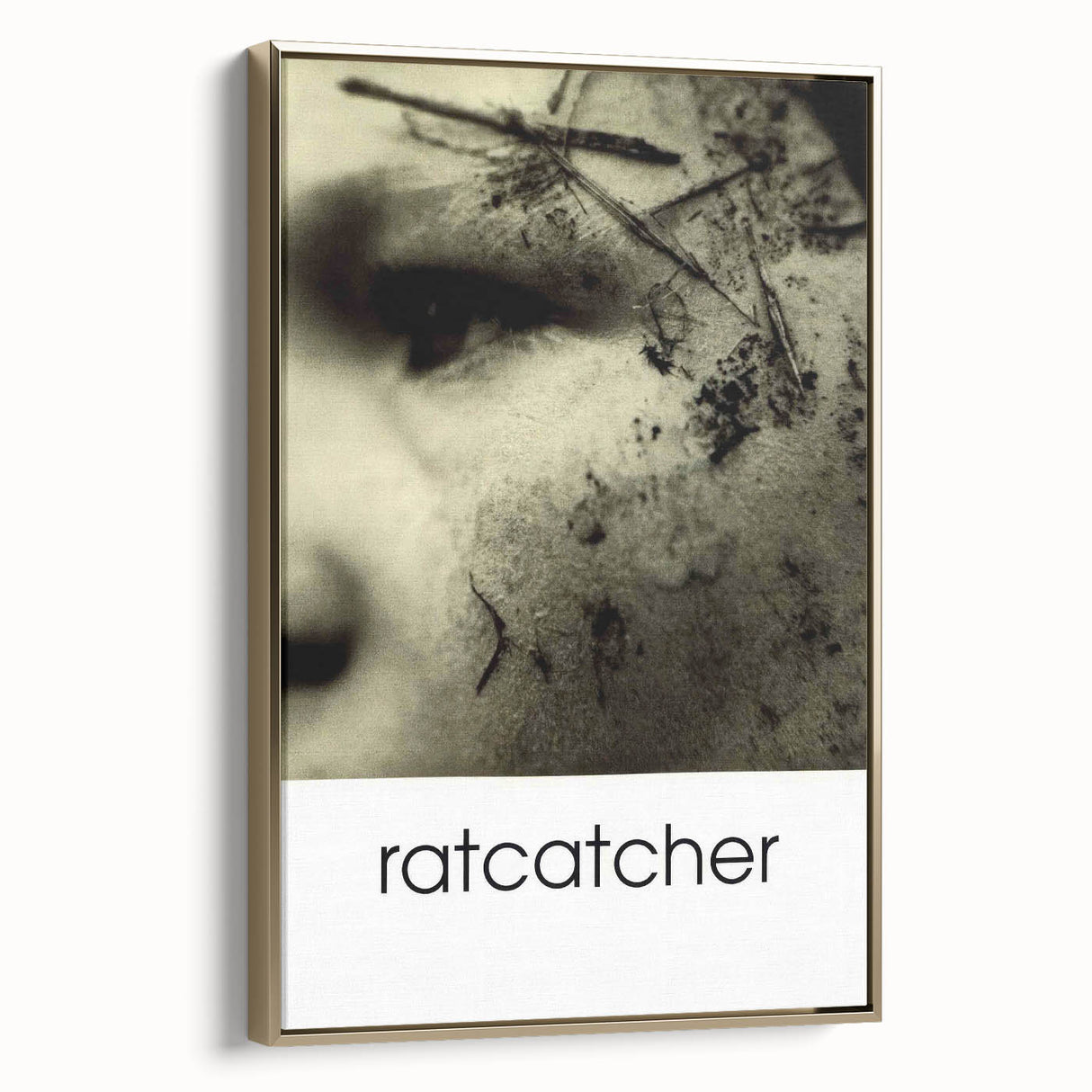 1990s Vintage Movie Poster – Classic 90s Film Art of Ratcatcher