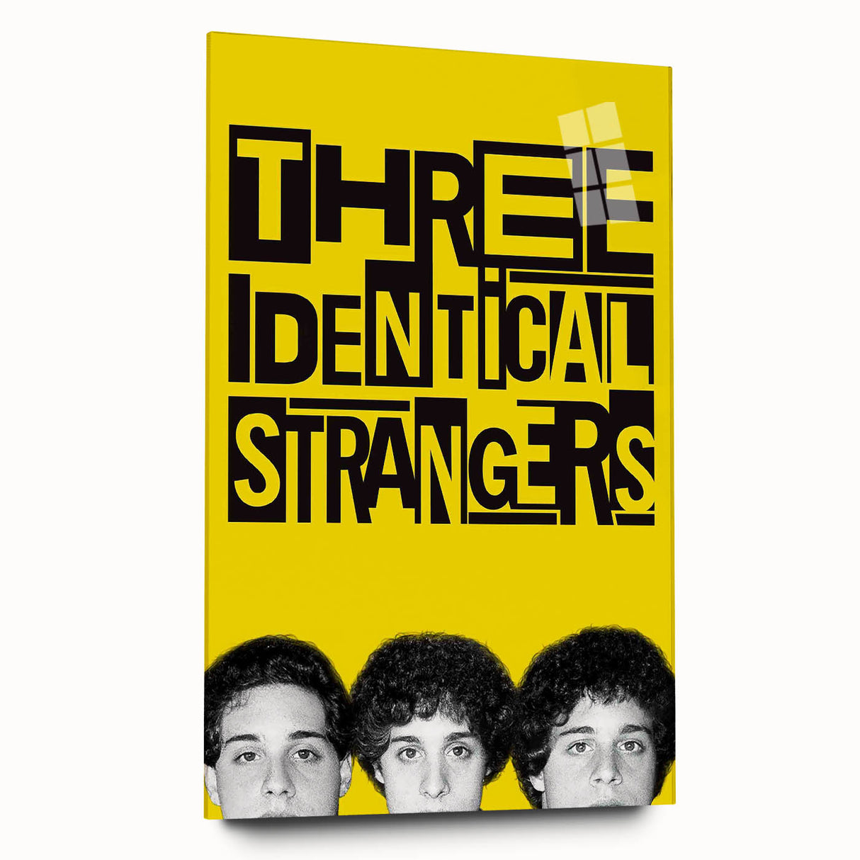 2010s Movie Poster Art - Three Identical Strangers Vintage Print