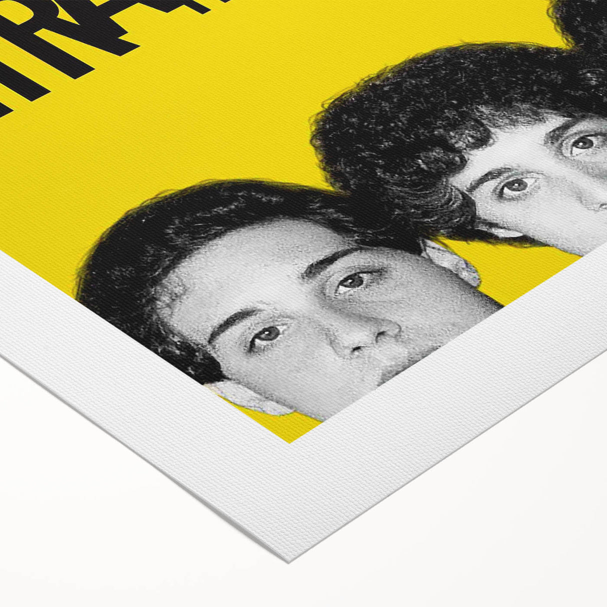 2010s Movie Poster Art - Three Identical Strangers Vintage Print