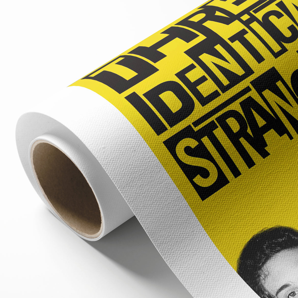 2010s Movie Poster Art - Three Identical Strangers Vintage Print