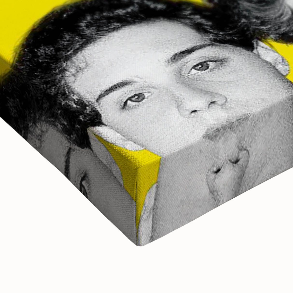 2010s Movie Poster Art - Three Identical Strangers Vintage Print