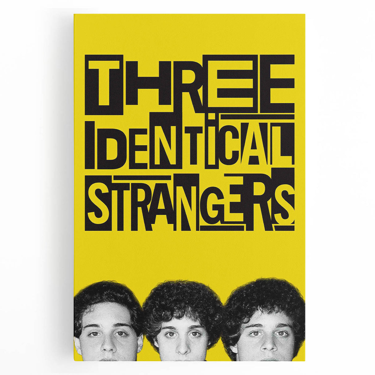 2010s Movie Poster Art - Three Identical Strangers Vintage Print