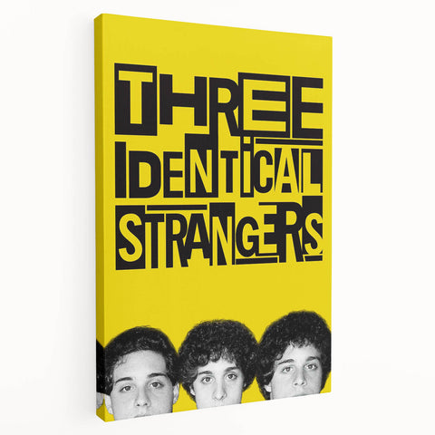 2010s Movie Poster Art - Three Identical Strangers Vintage Print