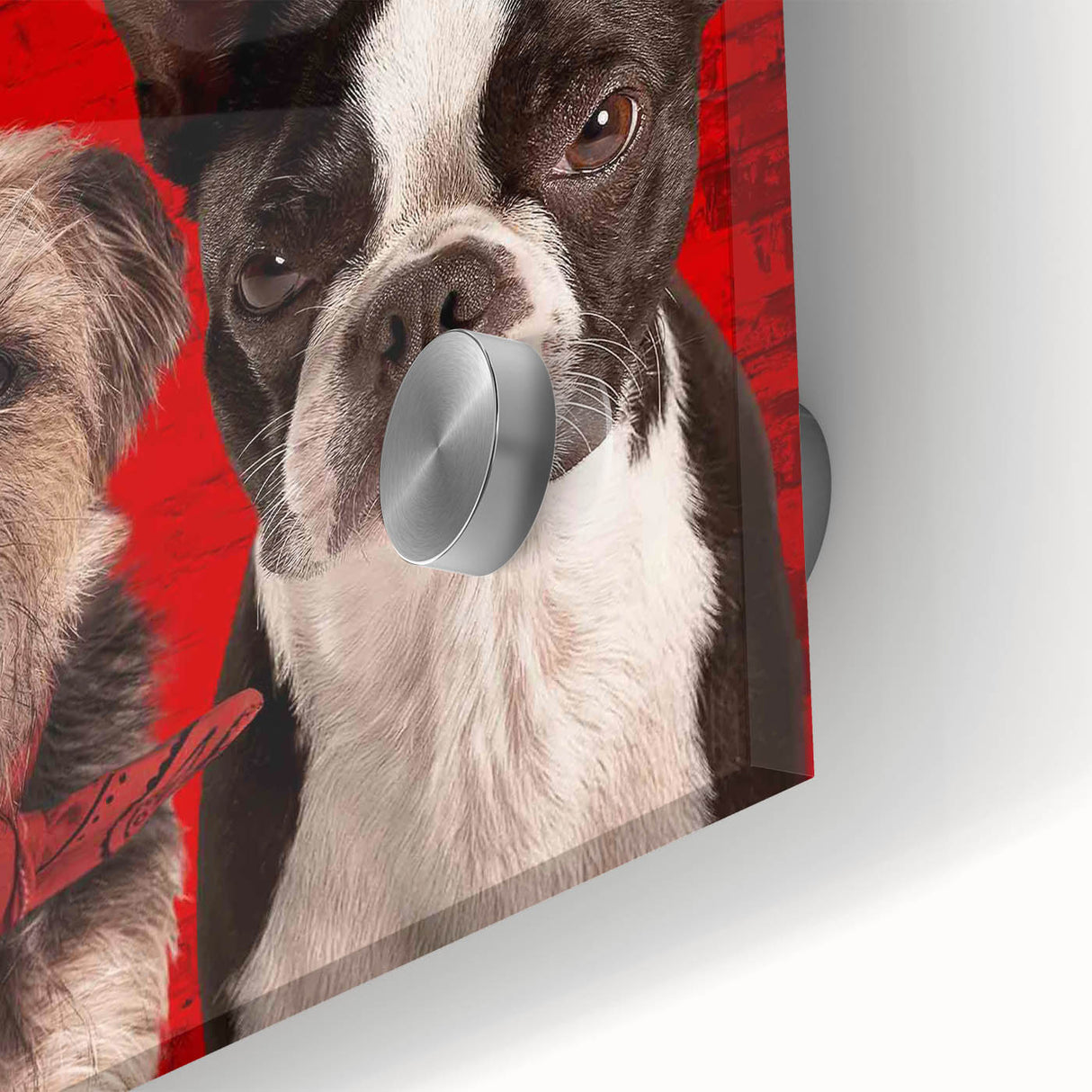 Strays 2020s Vintage Movie Poster – Retro Comedy Film Art Print