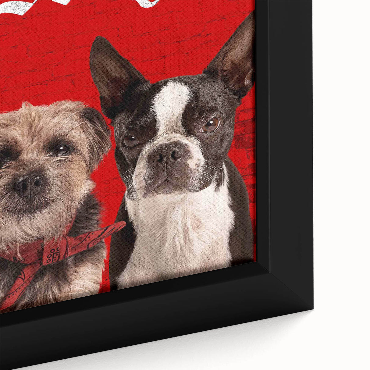 Strays 2020s Vintage Movie Poster – Retro Comedy Film Art Print