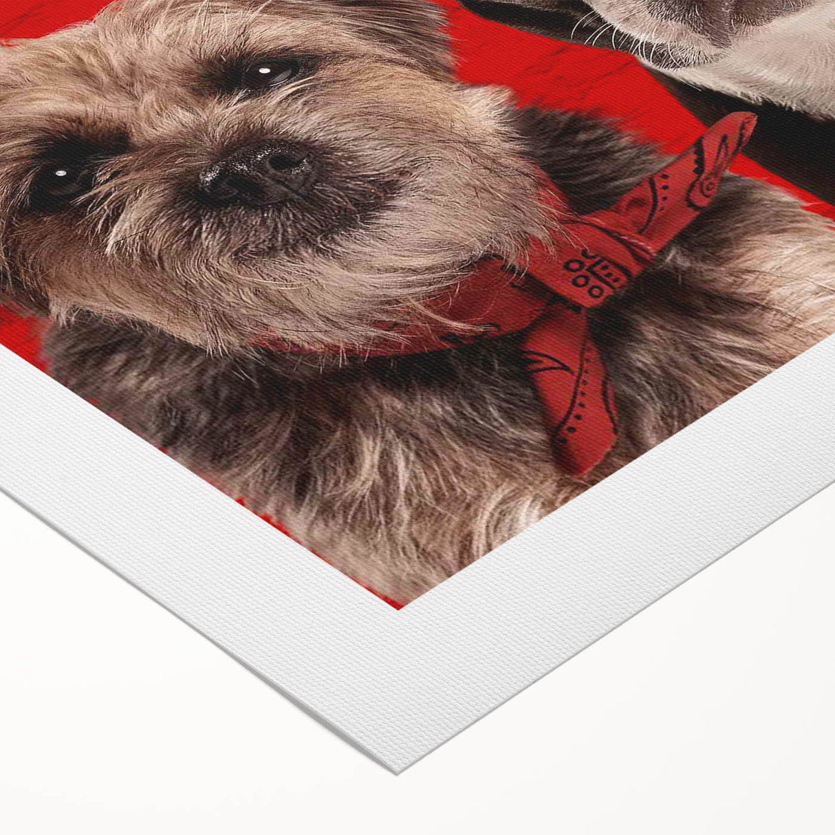 Strays 2020s Vintage Movie Poster – Retro Comedy Film Art Print