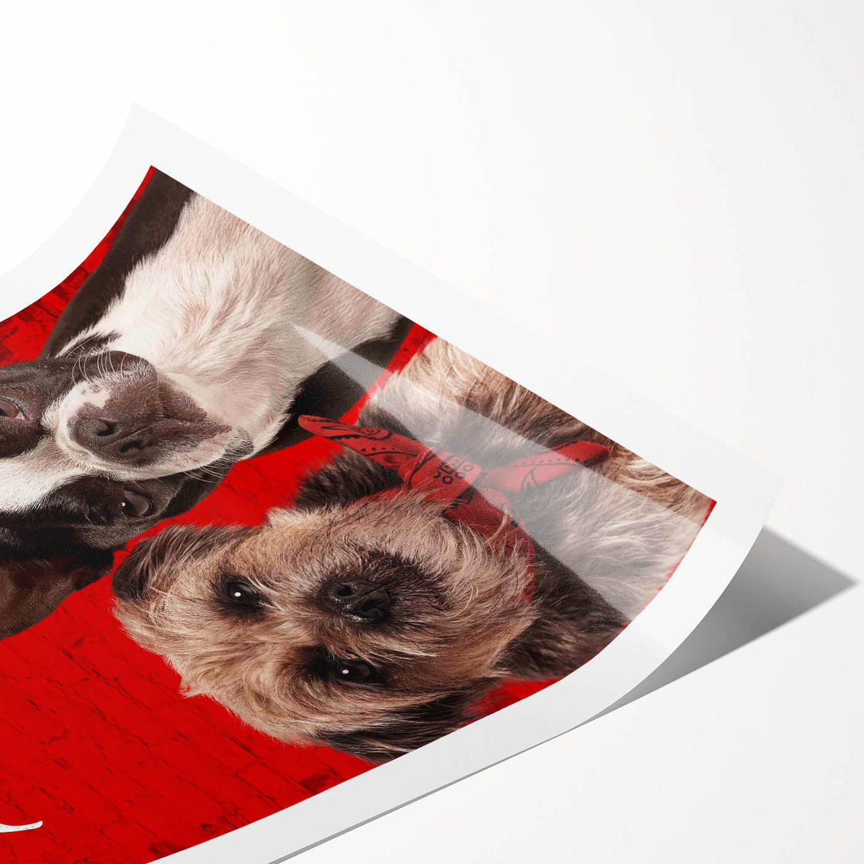 Strays 2020s Vintage Movie Poster – Retro Comedy Film Art Print