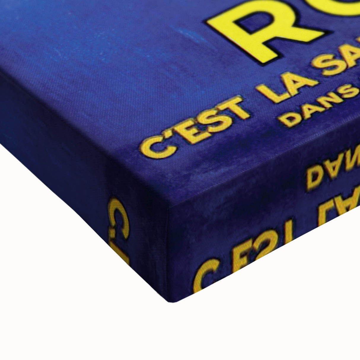 Vintage Royat Poster – Elegant Retro Advertisement with Health Message