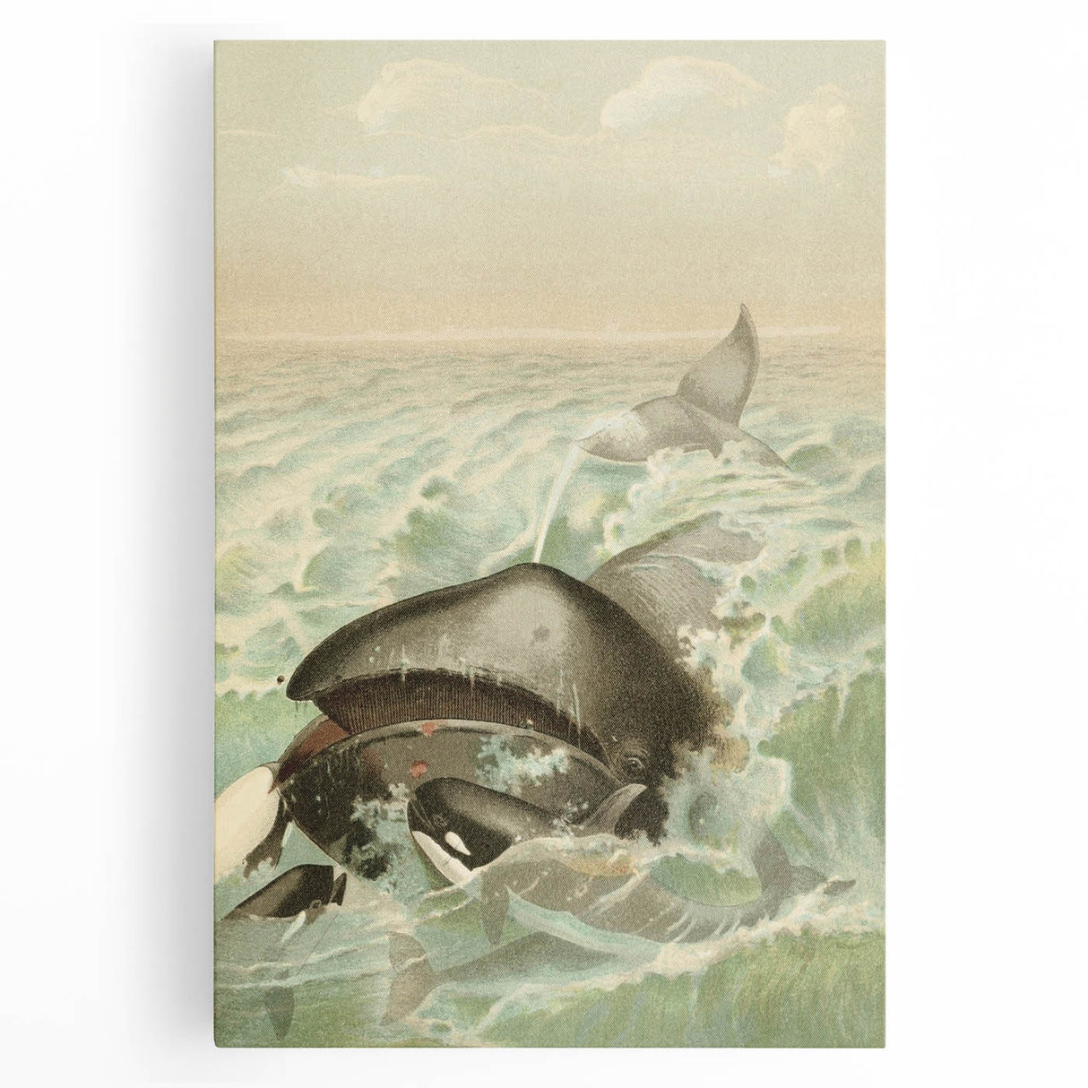Vintage Animal Art: Whales in Ocean Waves | Antique Wildlife Prints