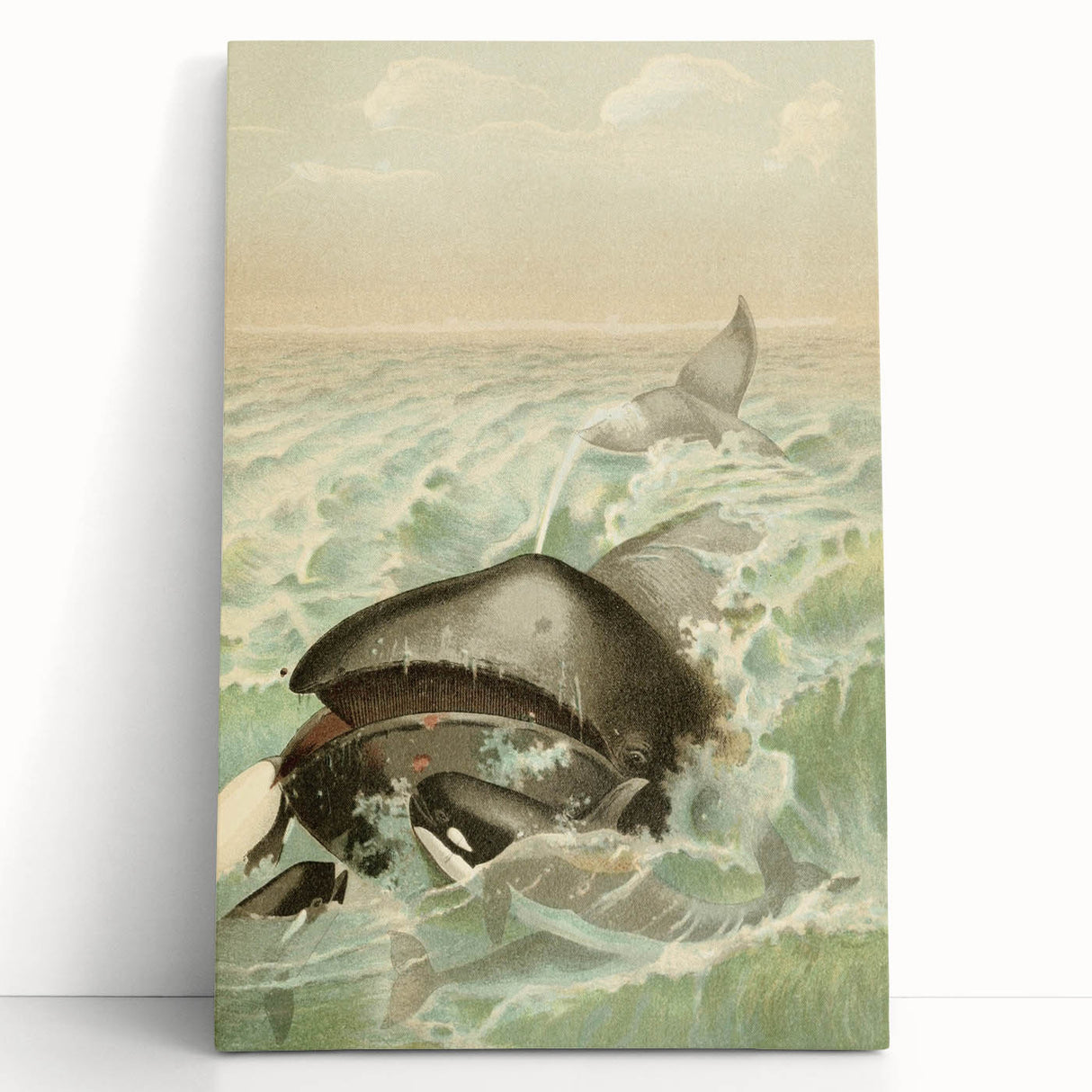 Vintage Animal Art: Whales in Ocean Waves | Antique Wildlife Prints