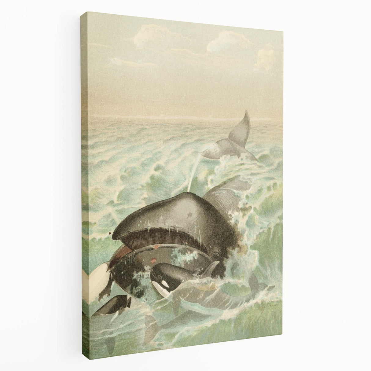 Vintage Animal Art: Whales in Ocean Waves | Antique Wildlife Prints