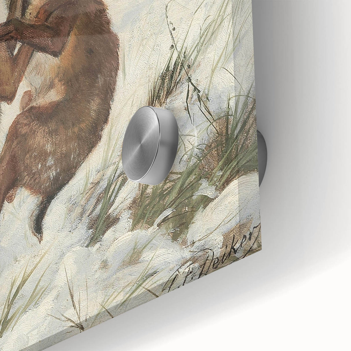 Vintage Animal Art - Snowy Hares Antique Wildlife Print