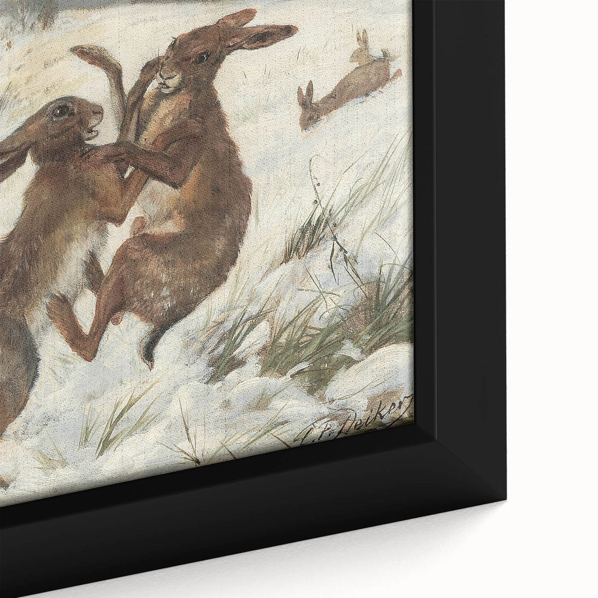 Vintage Animal Art - Snowy Hares Antique Wildlife Print