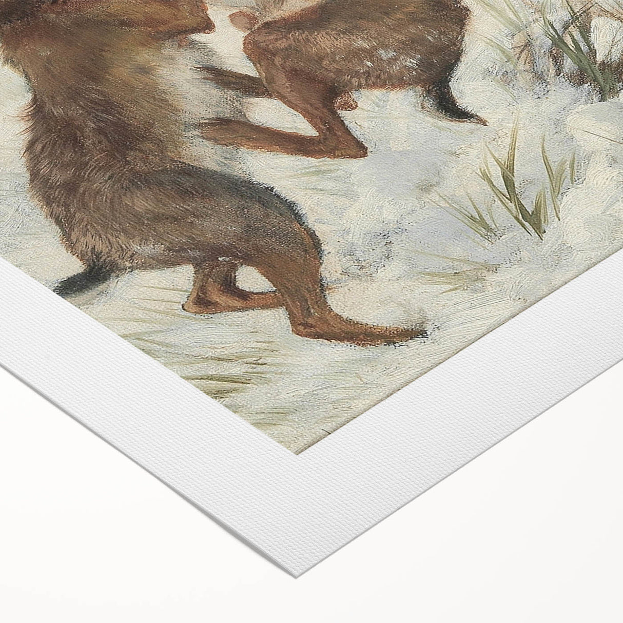 Vintage Animal Art - Snowy Hares Antique Wildlife Print