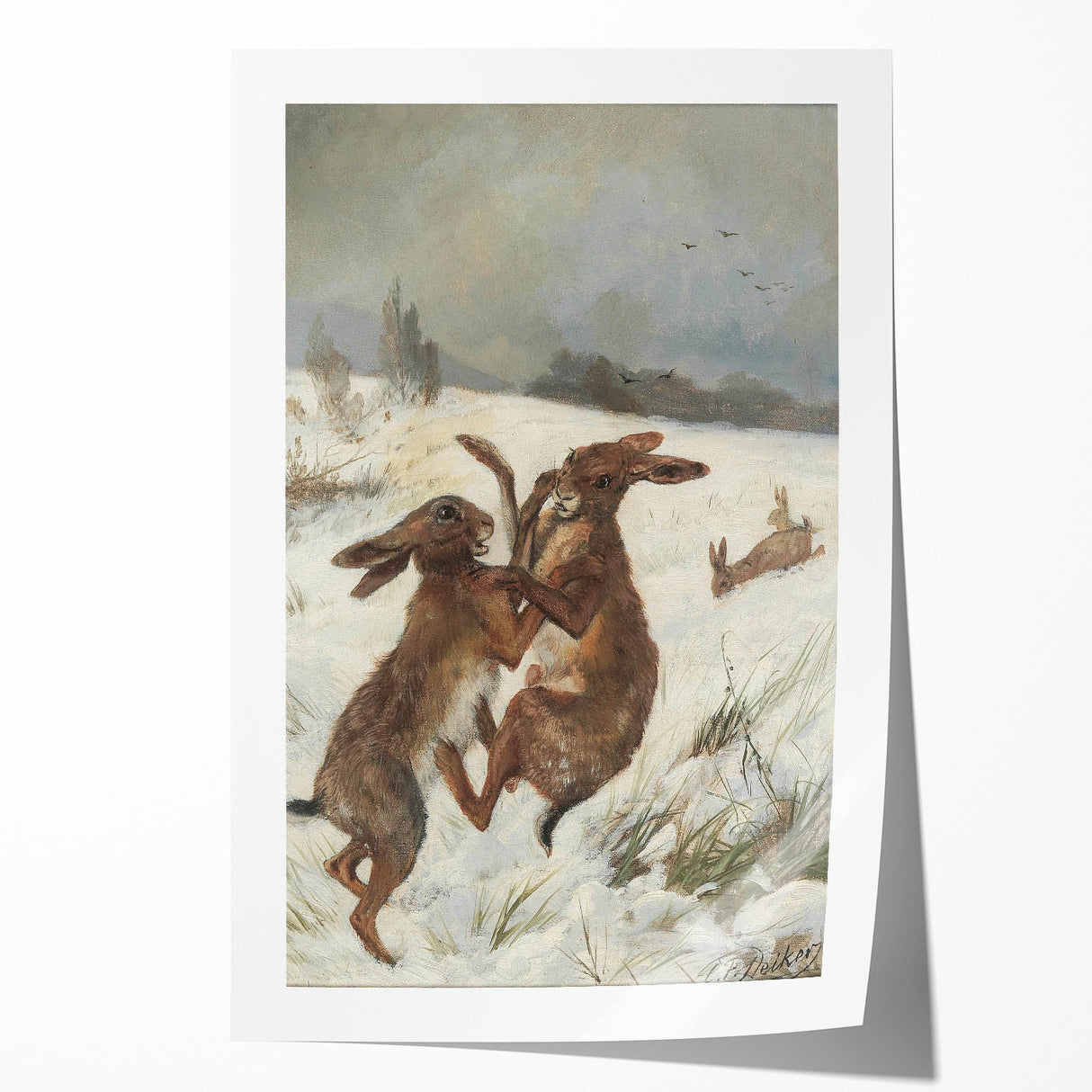 Vintage Animal Art - Snowy Hares Antique Wildlife Print