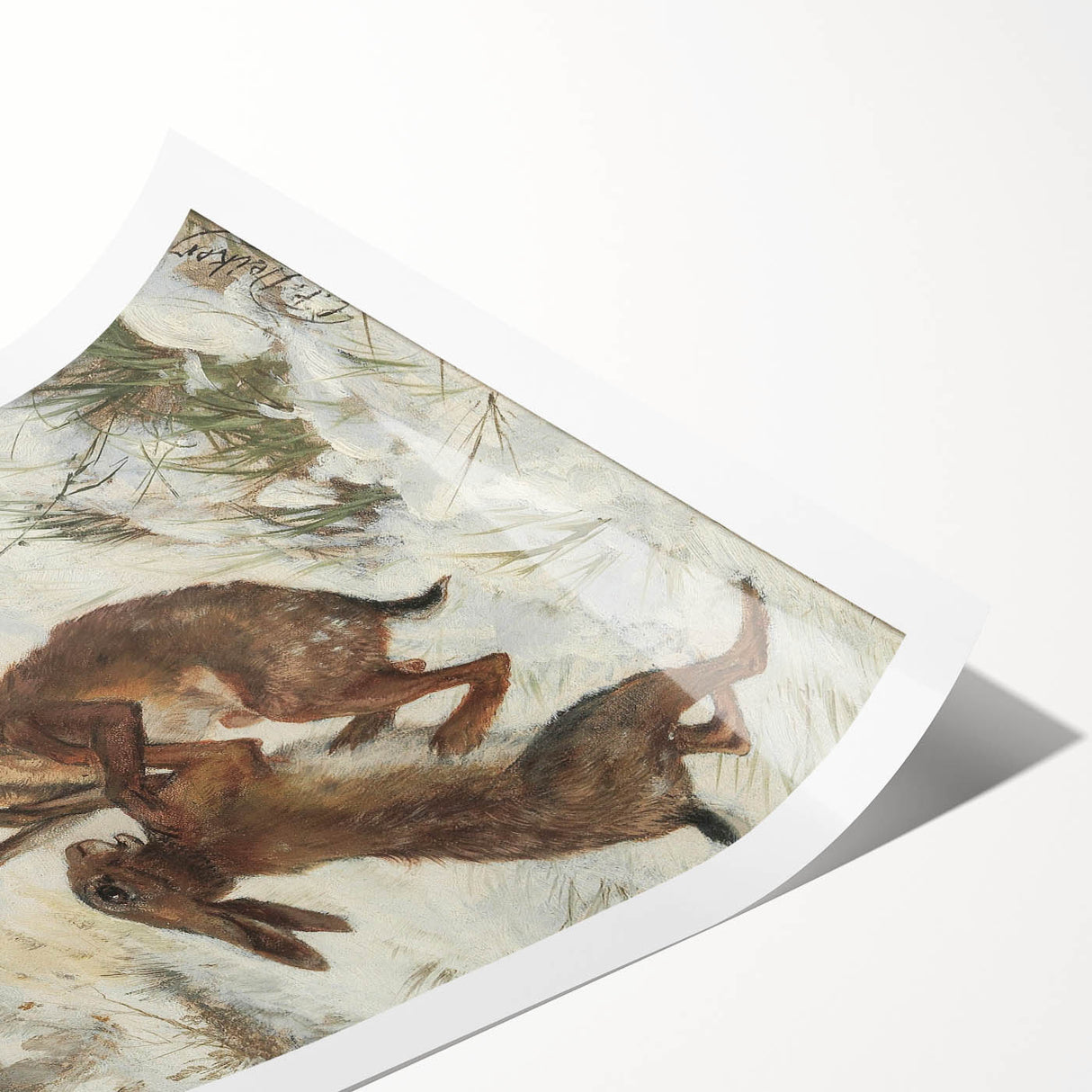 Vintage Animal Art - Snowy Hares Antique Wildlife Print