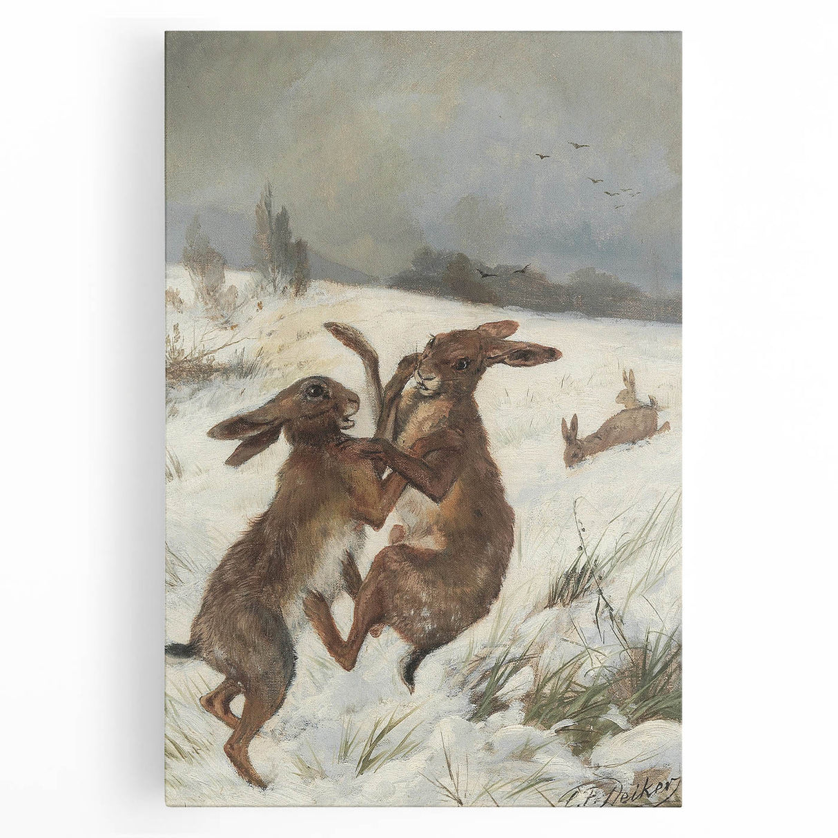 Vintage Animal Art - Snowy Hares Antique Wildlife Print