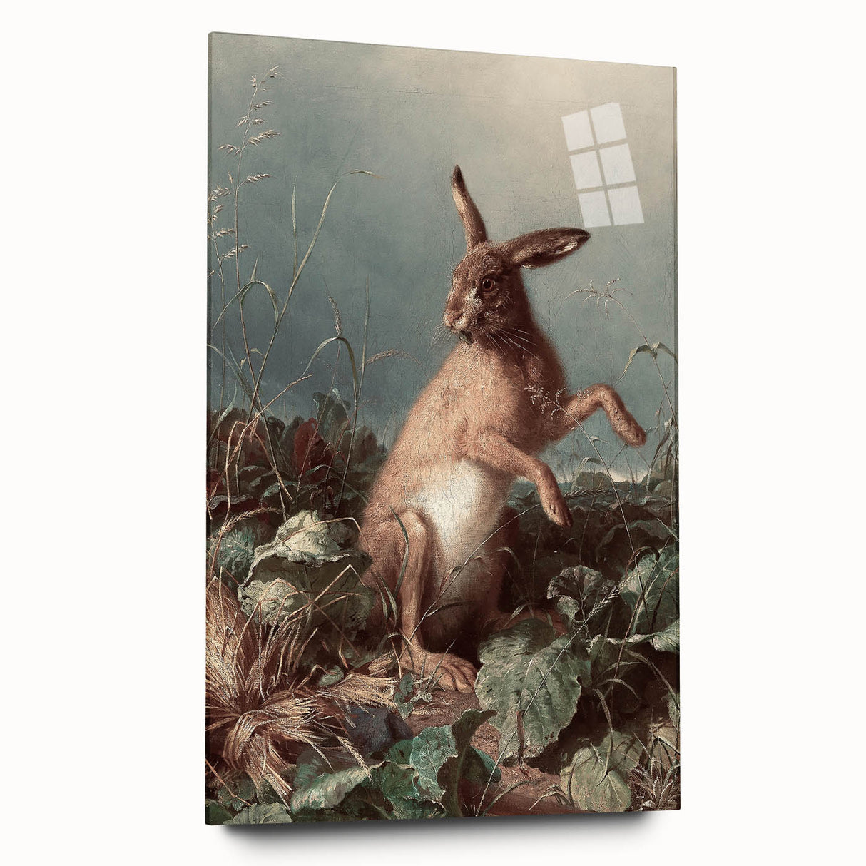 Vintage Animal Art - Hare in the Grass Antique Wildlife Print