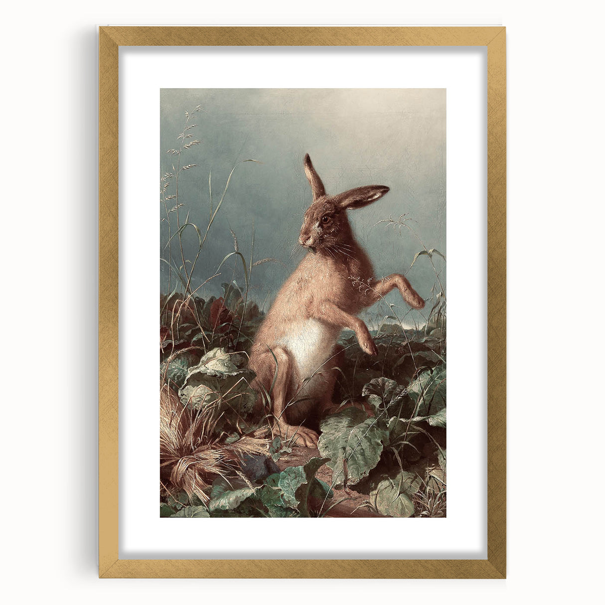 Vintage Animal Art - Hare in the Grass Antique Wildlife Print