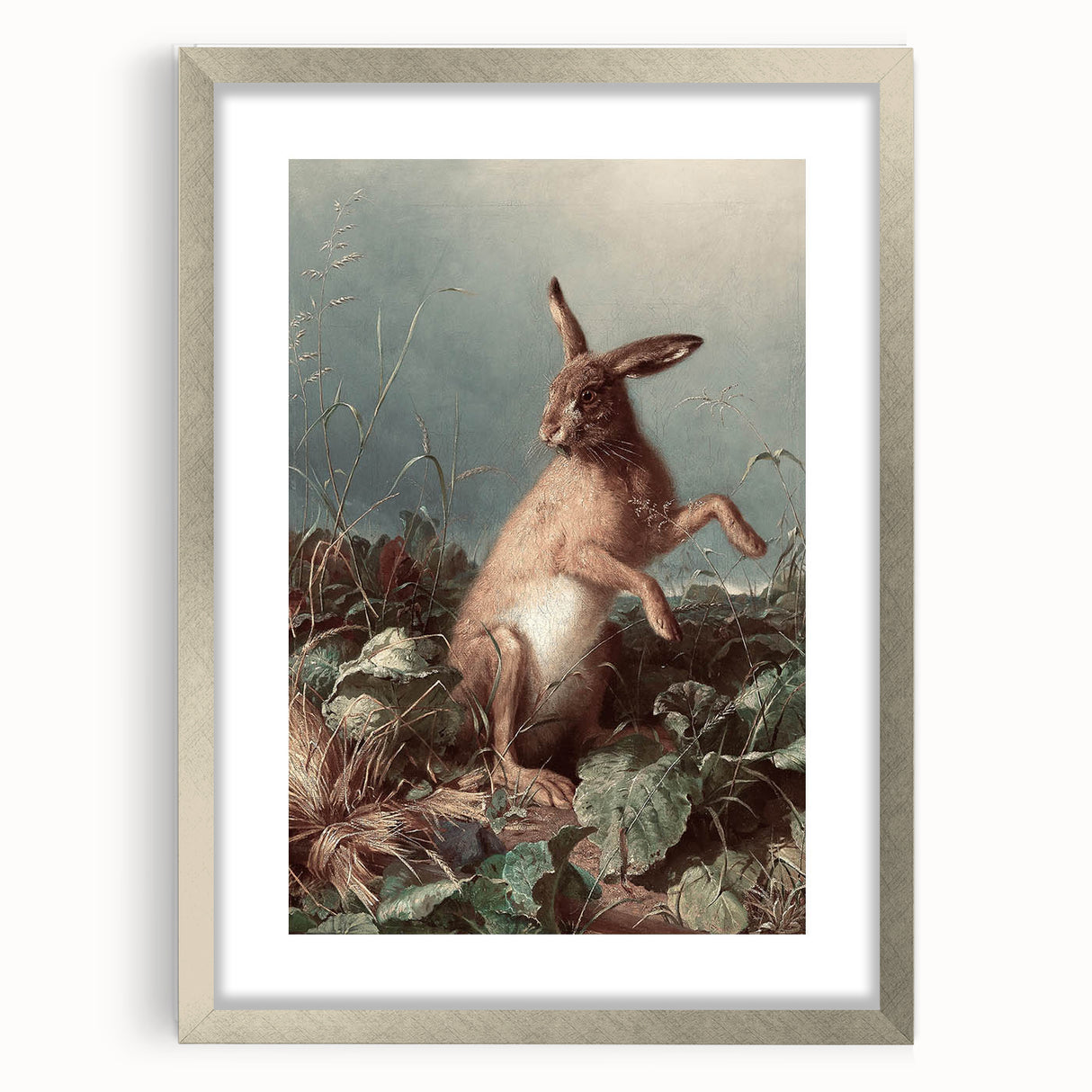 Vintage Animal Art - Hare in the Grass Antique Wildlife Print