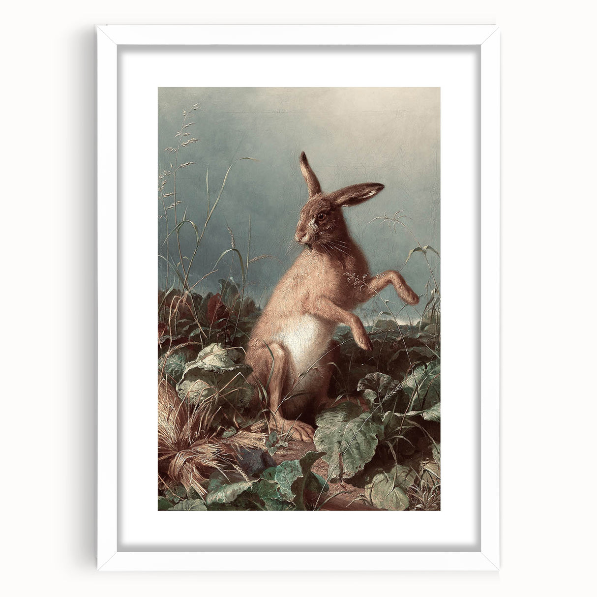 Vintage Animal Art - Hare in the Grass Antique Wildlife Print
