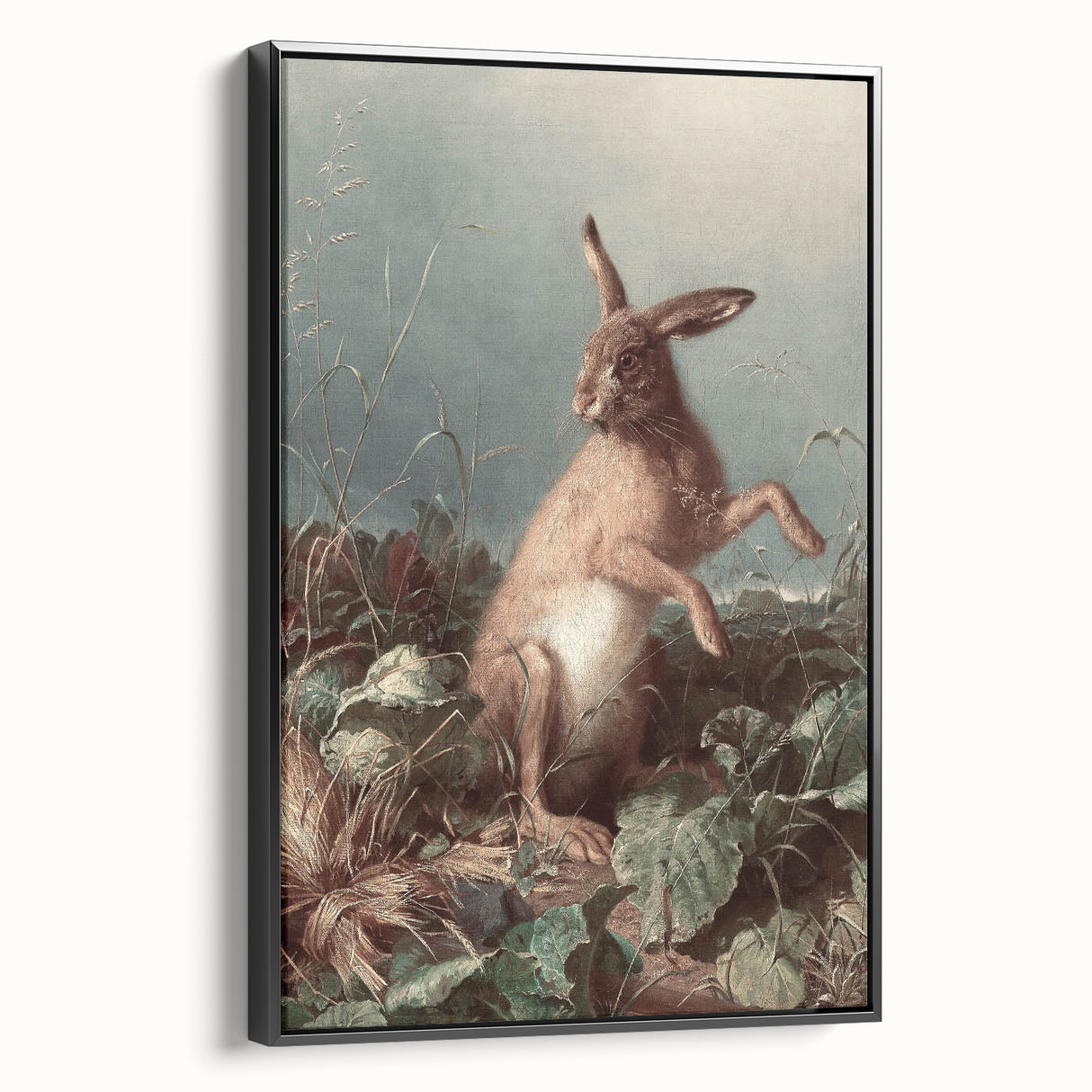 Vintage Animal Art - Hare in the Grass Antique Wildlife Print