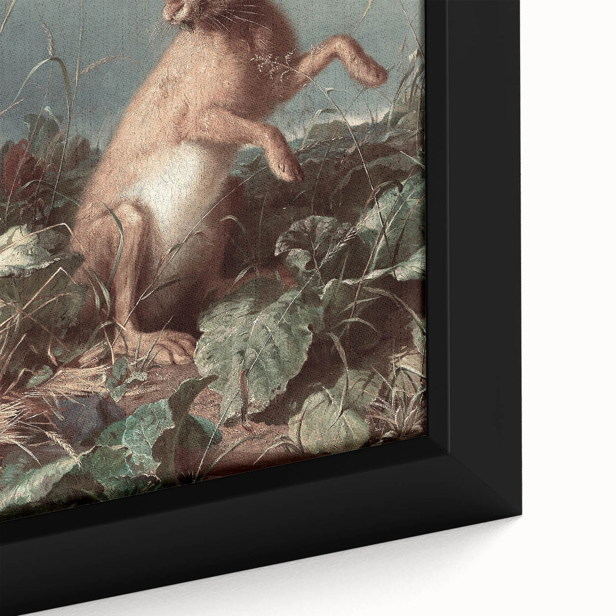 Vintage Animal Art - Hare in the Grass Antique Wildlife Print