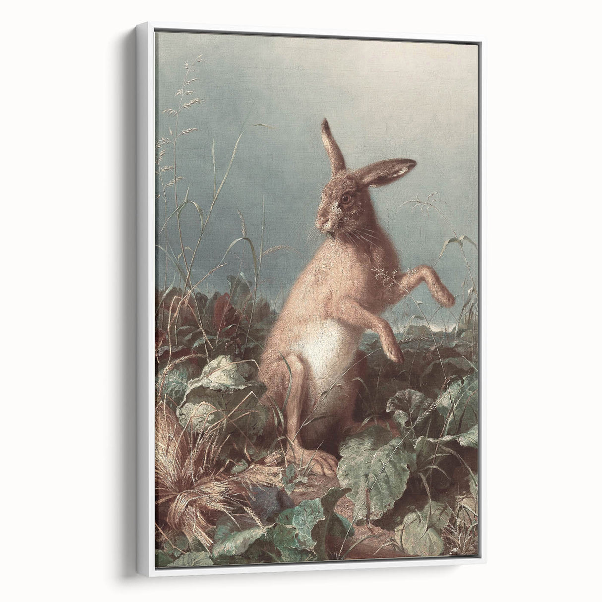Vintage Animal Art - Hare in the Grass Antique Wildlife Print