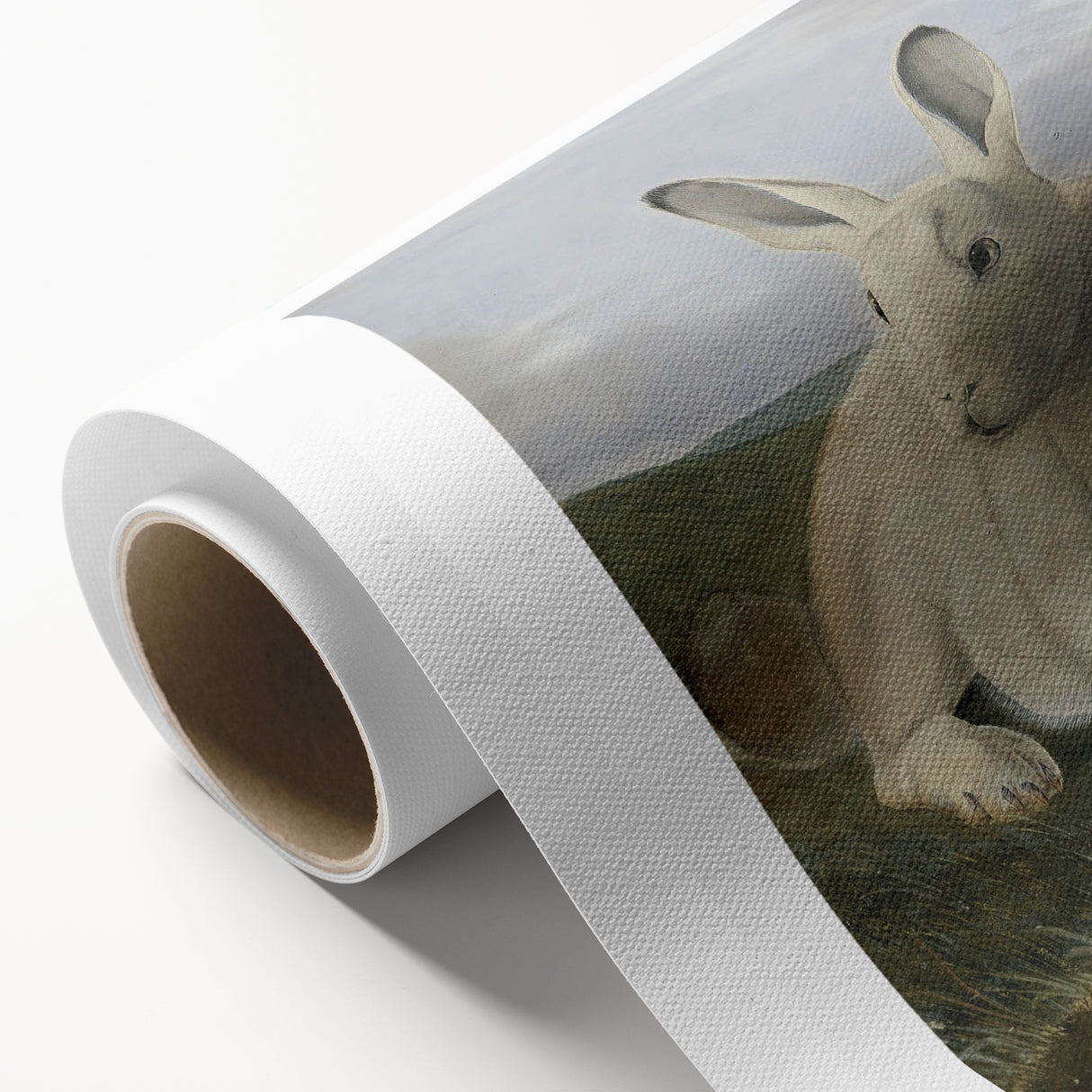 Vintage Animal Art - White & Brown Hares Antique Wildlife Print