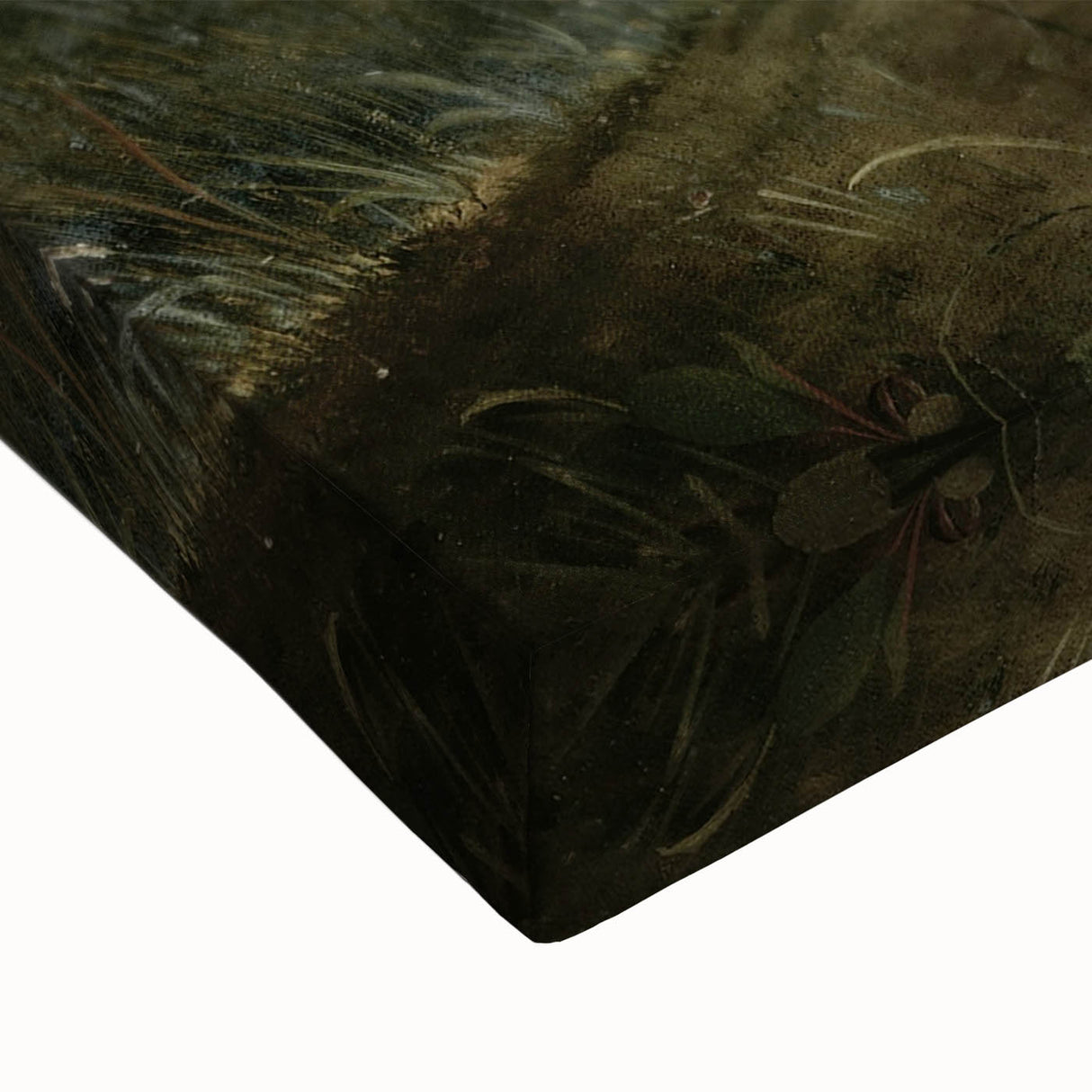 Vintage Animal Art - White & Brown Hares Antique Wildlife Print