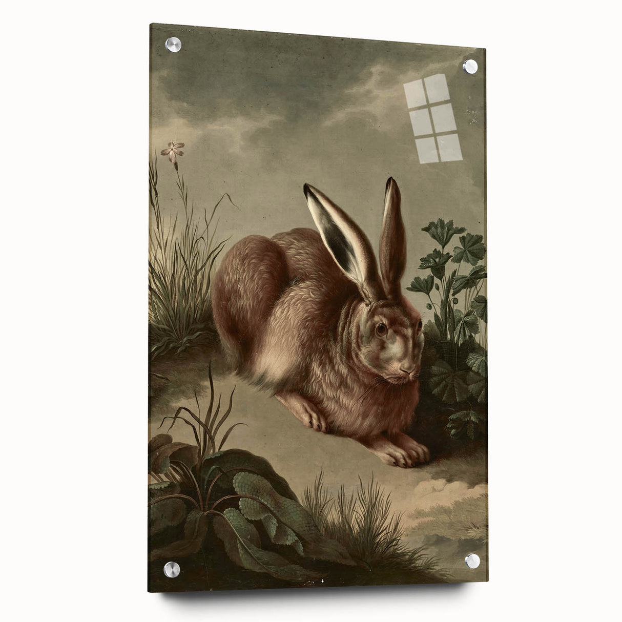 Vintage Animal Art - Rabbit in Nature Antique Wildlife Print