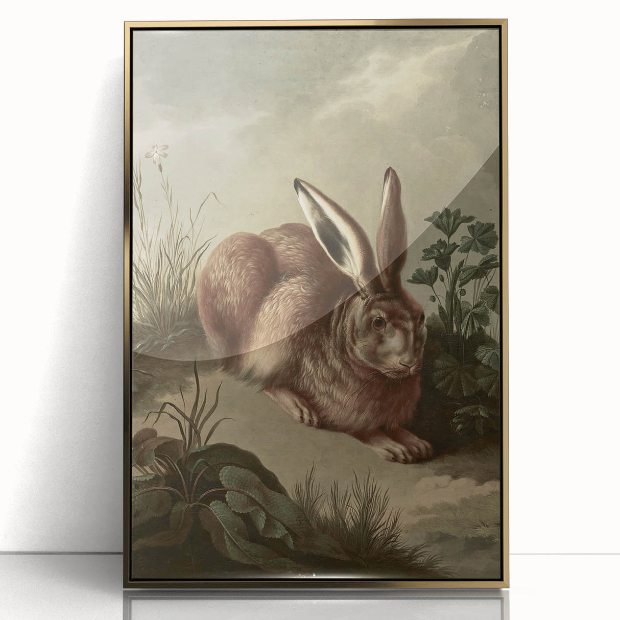 Vintage Animal Art - Rabbit in Nature Antique Wildlife Print