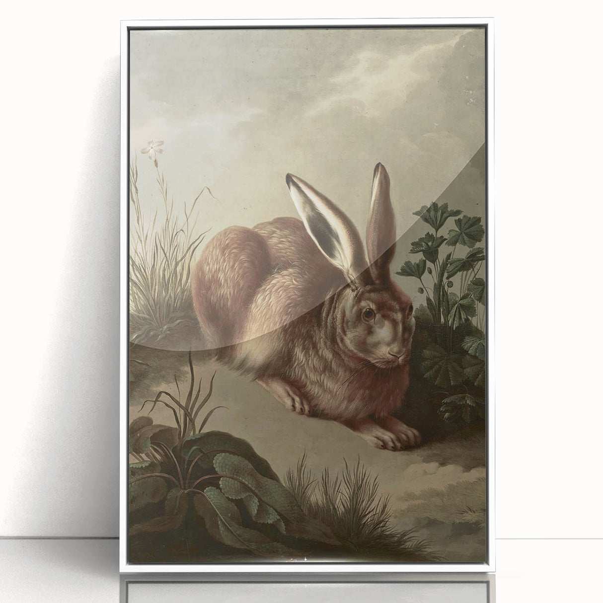Vintage Animal Art - Rabbit in Nature Antique Wildlife Print