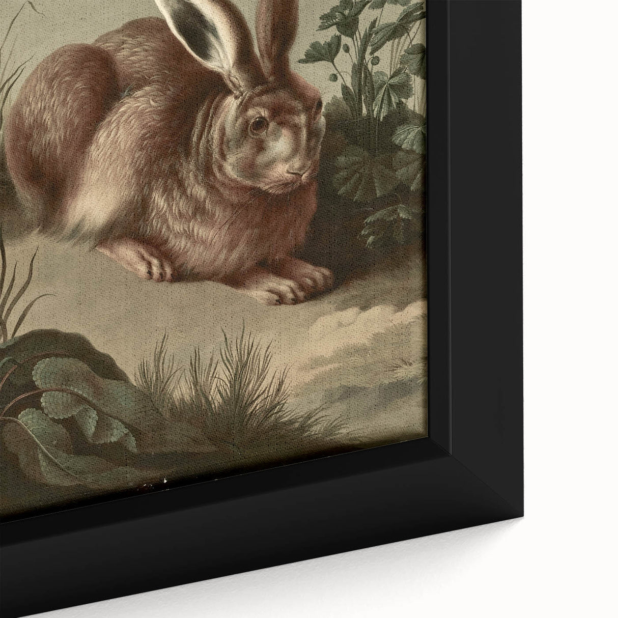 Vintage Animal Art - Rabbit in Nature Antique Wildlife Print