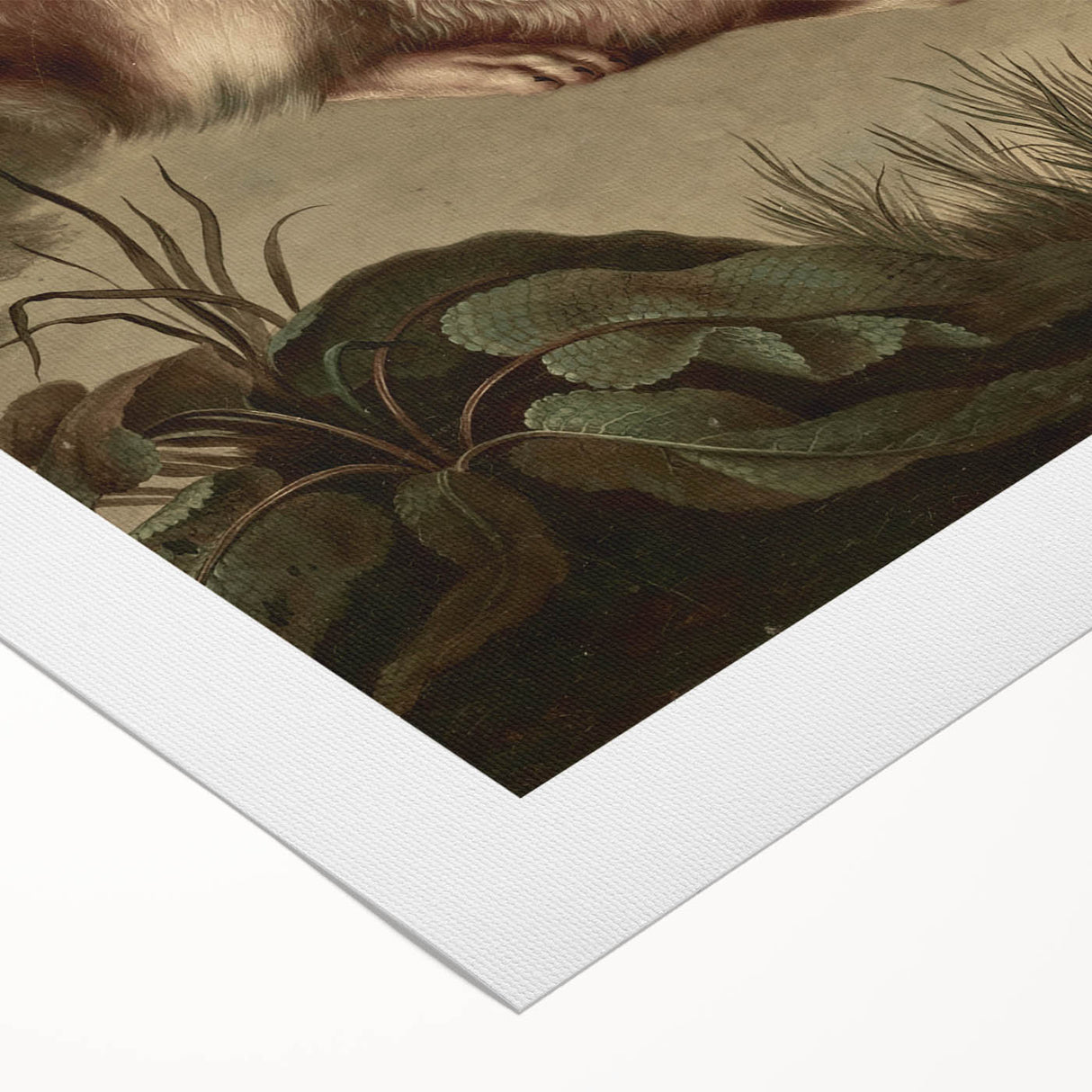 Vintage Animal Art - Rabbit in Nature Antique Wildlife Print