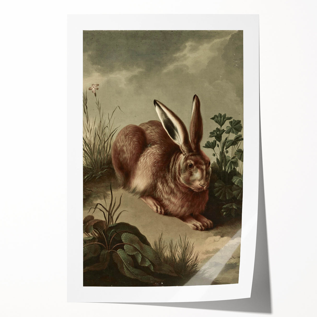 Vintage Animal Art - Rabbit in Nature Antique Wildlife Print