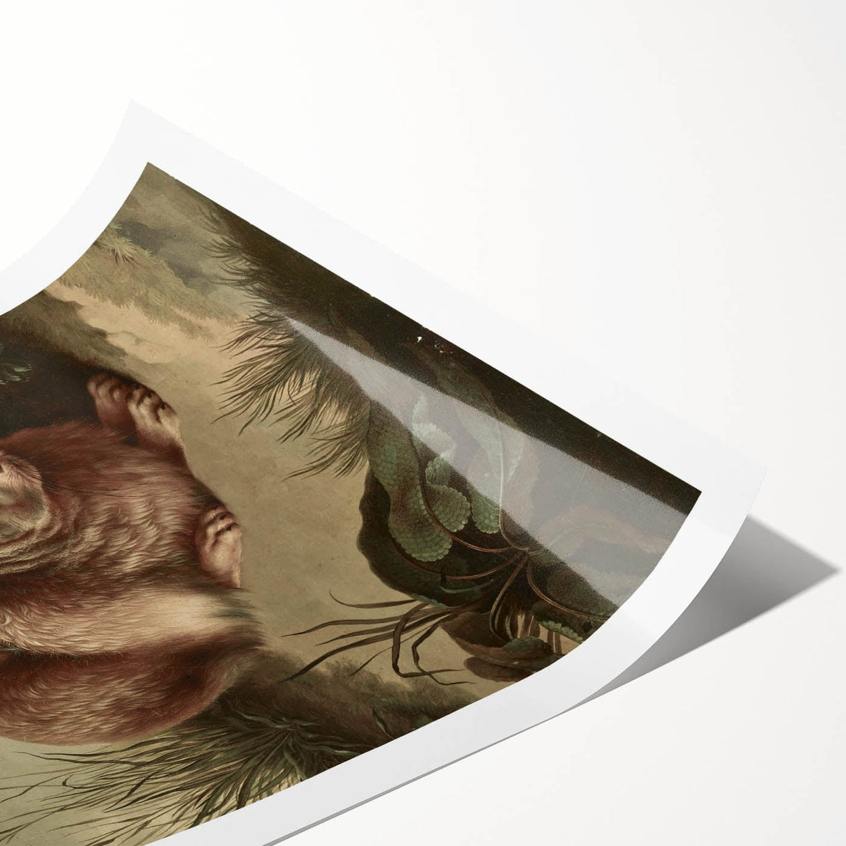 Vintage Animal Art - Rabbit in Nature Antique Wildlife Print