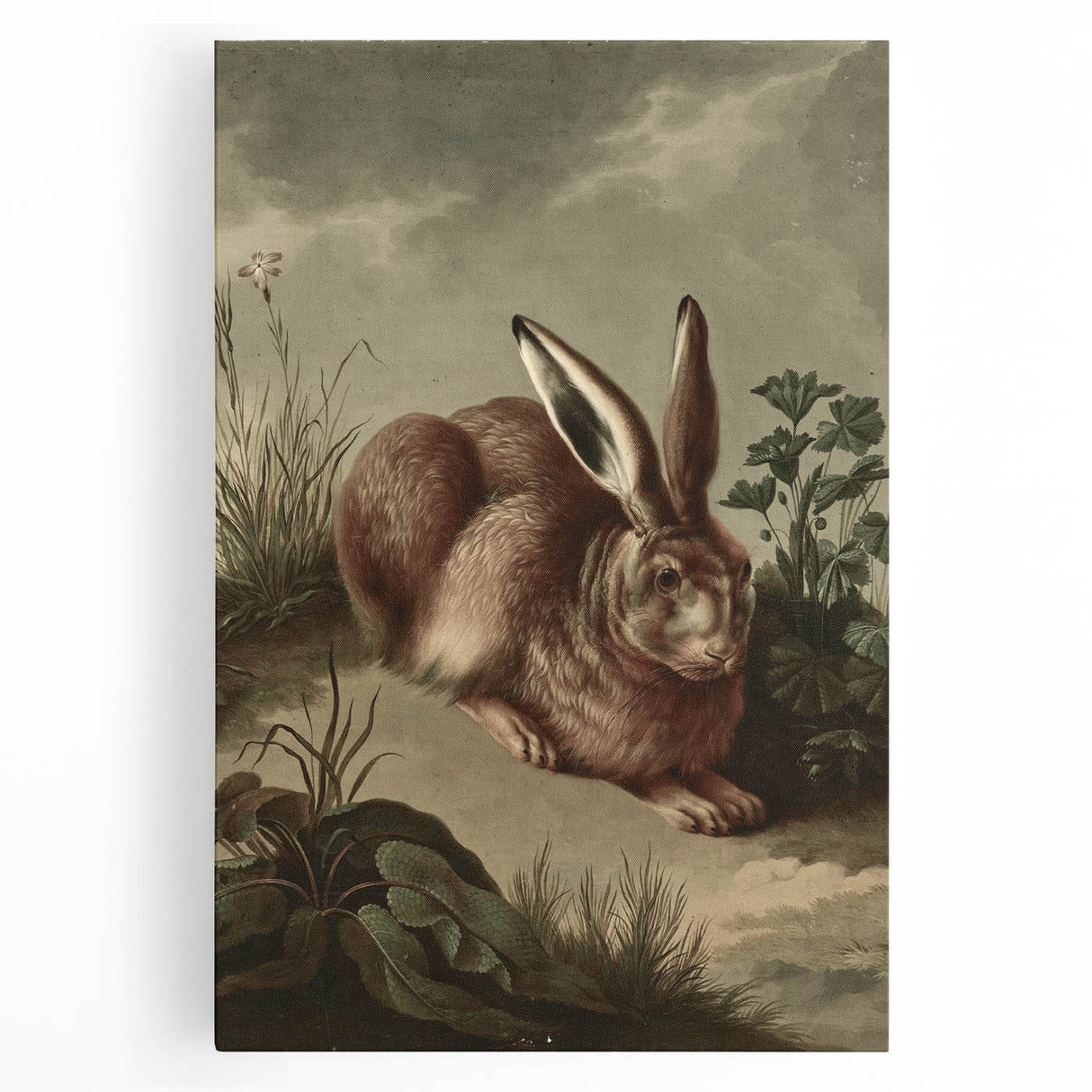 Vintage Animal Art - Rabbit in Nature Antique Wildlife Print