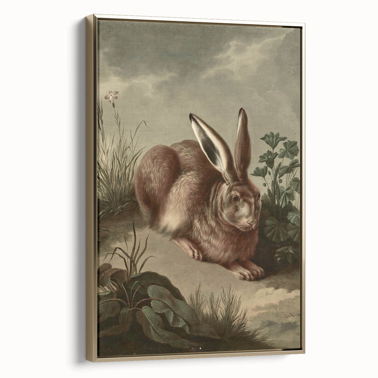 Vintage Animal Art - Rabbit in Nature Antique Wildlife Print