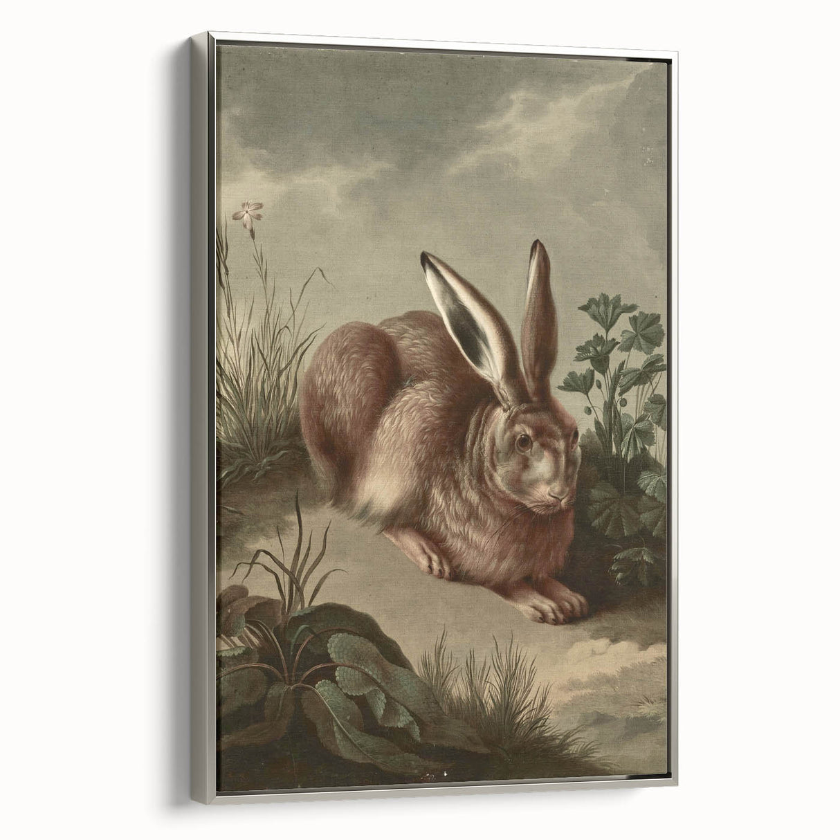 Vintage Animal Art - Rabbit in Nature Antique Wildlife Print