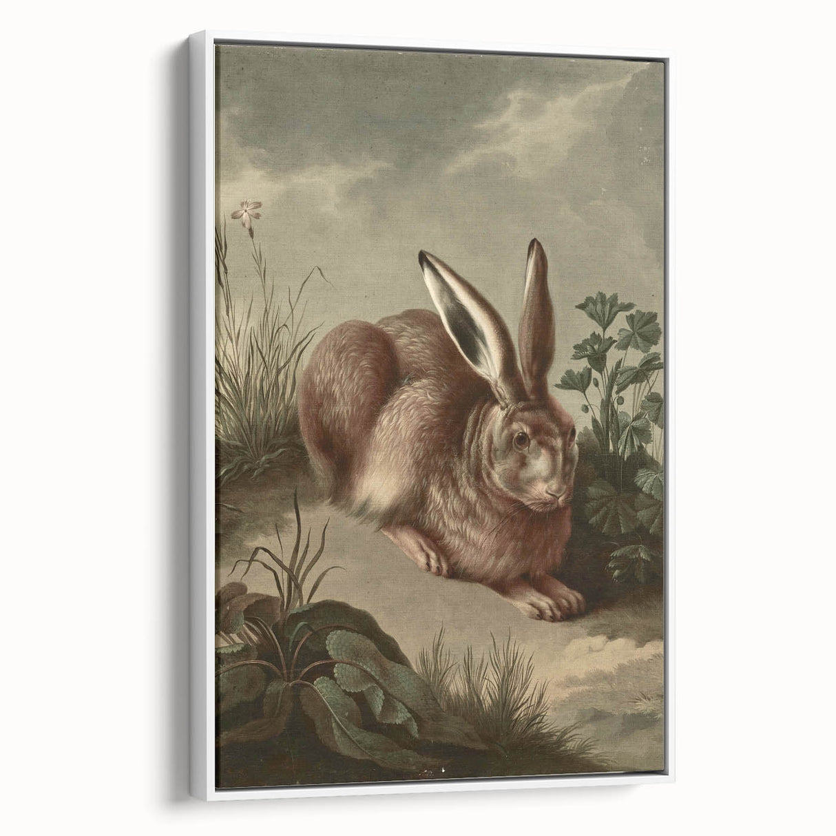 Vintage Animal Art - Rabbit in Nature Antique Wildlife Print