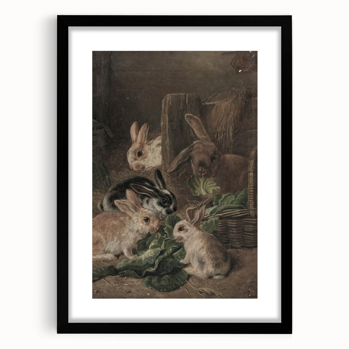 Vintage Animal Art - Rabbits Eating Cabbage Antique Wildlife Print