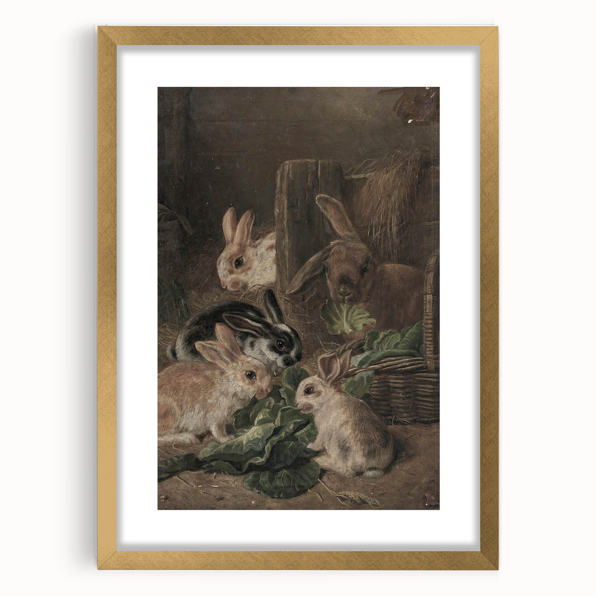 Vintage Animal Art - Rabbits Eating Cabbage Antique Wildlife Print