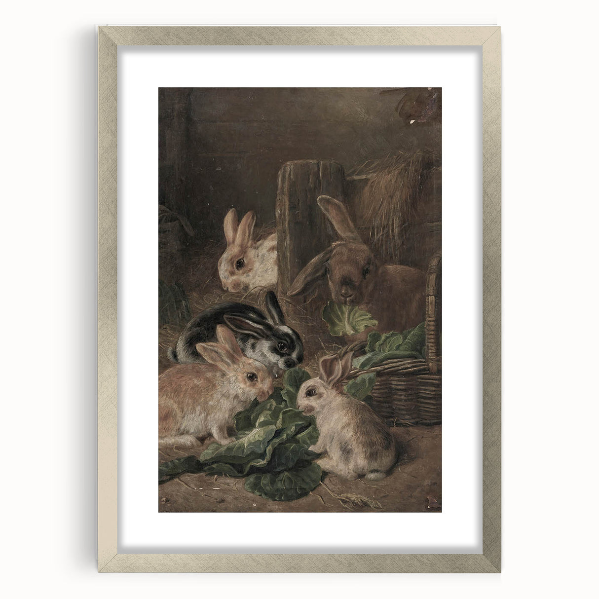 Vintage Animal Art - Rabbits Eating Cabbage Antique Wildlife Print