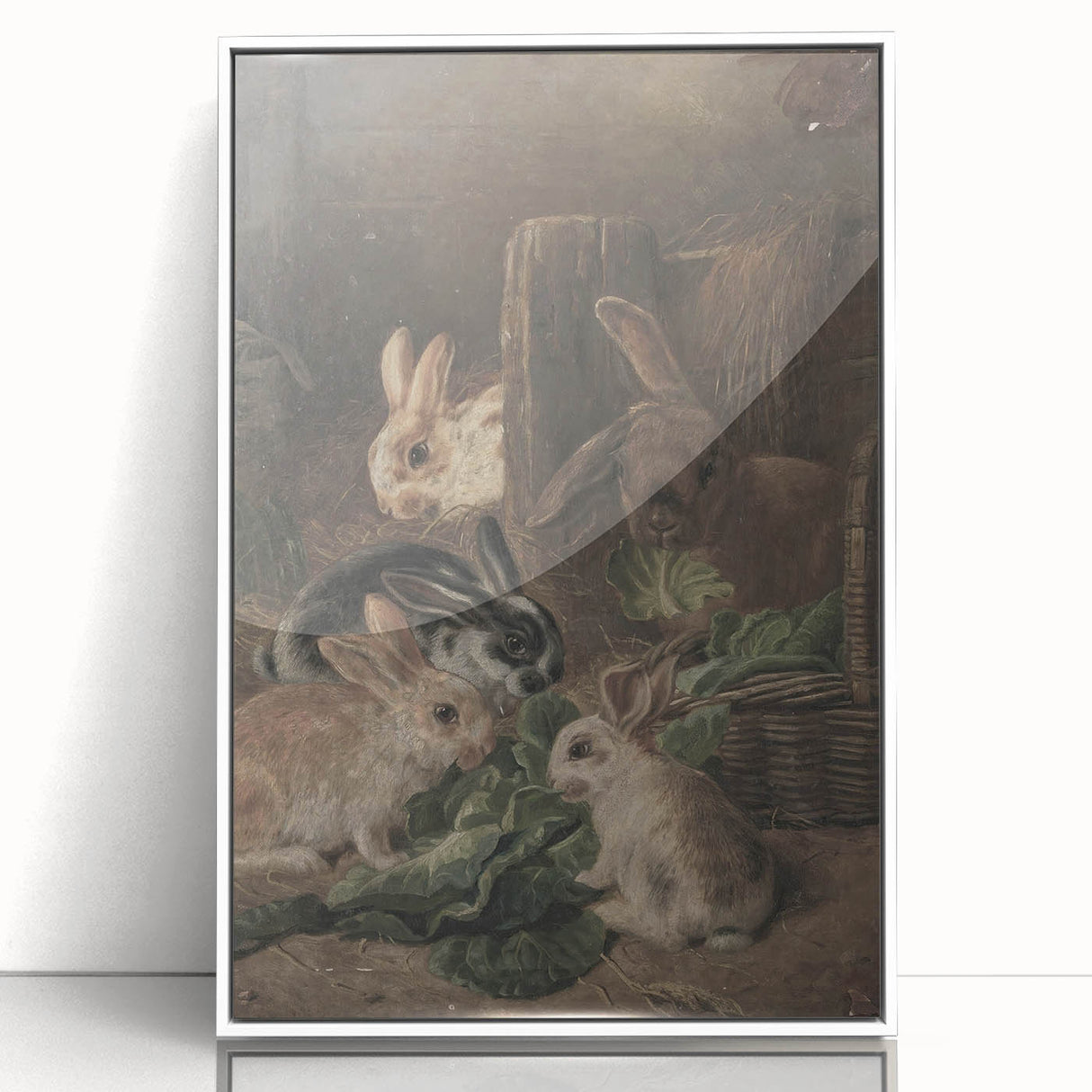 Vintage Animal Art - Rabbits Eating Cabbage Antique Wildlife Print